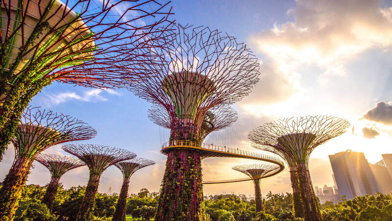 Gardens By The Bay