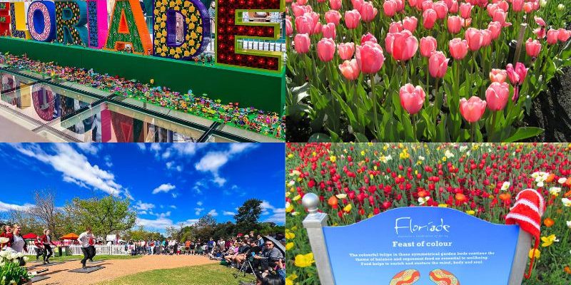 Du lịch Úc mùa xuân - Khám phá lễ hội hoa Floriade